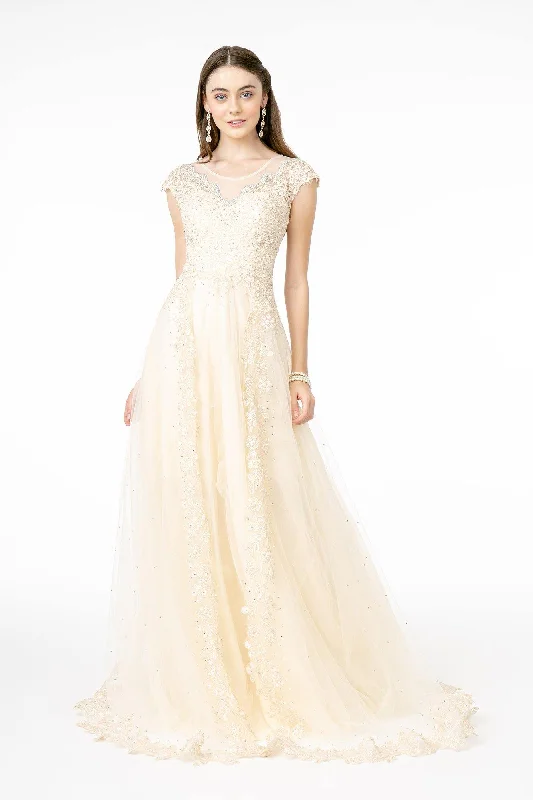 Illusion - neck wedding dresses with delicate lace​ Embroidered Mesh A-Line Long Dress with Sheer Back
